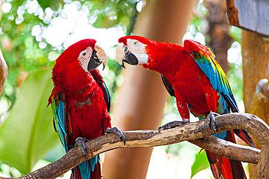 TGA：《战锤40K：星际战士2》预告 星际战士斩杀虫族